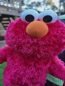 Poster for Holiday video from Elmo
