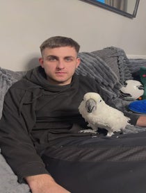 Poster for Birthday video from Charlie Junior The Cockatoo