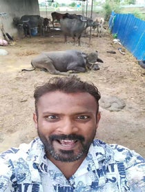 Poster for Birthday video from Indian Buffalo Man