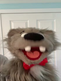 Poster for Other video from Bando the Bear