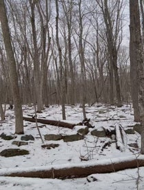 Poster for Birthday video from Nik The Forge Bear