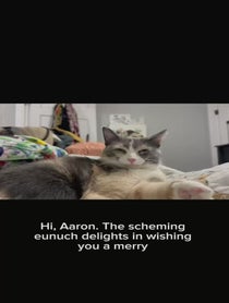Poster for Holiday video from Monkey