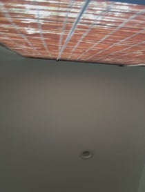 Poster for Valentine's Day video from Kayvan Novak