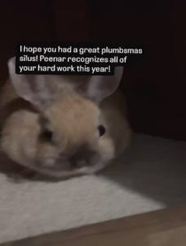 Poster for Holiday video from Real Peanut Bunner