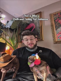 Poster for Birthday video from KingChilliThePug
