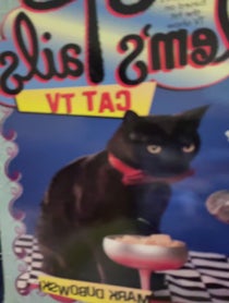 Poster for Other video from Nick Bakay