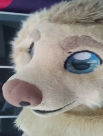 Poster for Other video from Rex the Furry Dog