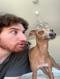 Poster for Birthday video from TrevortheIggy