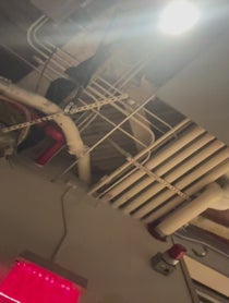 Poster for Other video from John Fanta