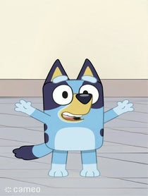 Poster for Intro video video from Bluey