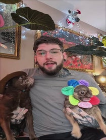 Poster for Holiday video from KingChilliThePug