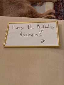 Poster for Birthday video from Pumba Caracal