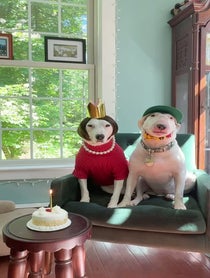 Poster for Birthday video from Pookie + Karen Bark
