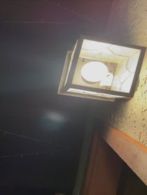 Poster for Pep Talk video from Michael Longfellow