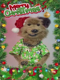 Poster for Holiday video from Puppet pals by Phil Fletcher