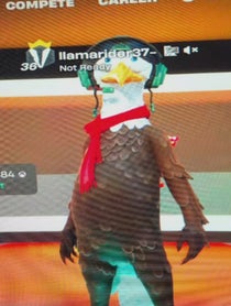 Poster for Birthday video from llama rider