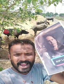 Poster for Birthday video from Indian Buffalo Man