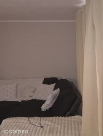 Poster for Intro video video from ADZii BOii