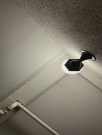 Poster for Holiday video from Shauhin Davari