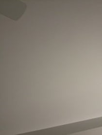 Poster for Birthday video from Steve Vai