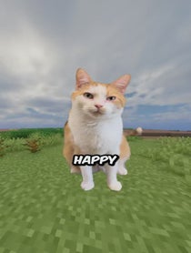 Poster for Valentine's Day video from chillcatguy