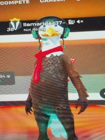 Poster for Birthday video from llama rider