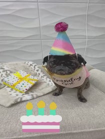 Poster for Birthday video from ClemJuno