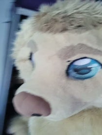 Poster for Birthday video from Rex the Furry Dog