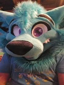 Poster for Send some love video from Brightwater Wolf