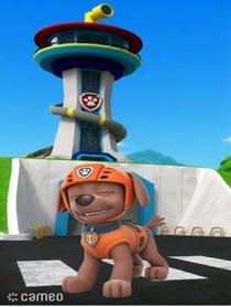 Poster for Intro video video from Zuma