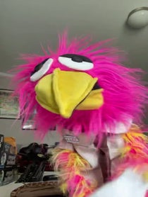Poster for Birthday video from Chad the Bird