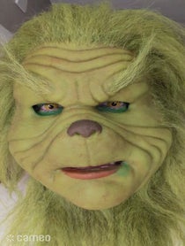Poster for Intro video video from The Grinch (NI)