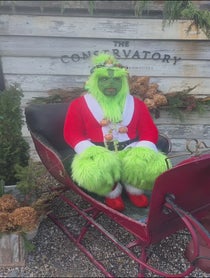 Poster for Holiday video from The Grumpy Ole Green Guy