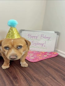 Poster for Birthday video from Cashew