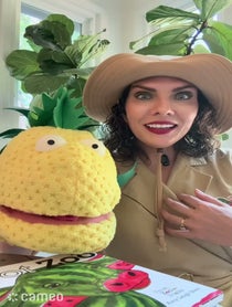 Poster for Intro video video from Froot Zoo
