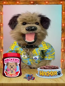 Poster for Birthday video from Puppet pals by Phil Fletcher