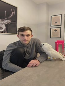 Poster for Valentine's Day video from Charlie Junior The Cockatoo