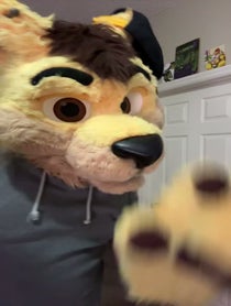 Poster for Birthday video from Daxter Dingo