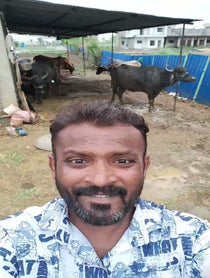 Poster for Birthday video from Indian Buffalo Man