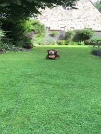 Poster for Other video from Charlie The Teddy Bear