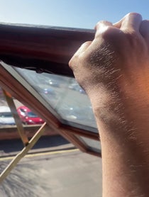 Poster for Pep Talk video from Steven the seagull