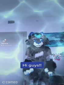 Poster for Intro video video from Nalu Catfish