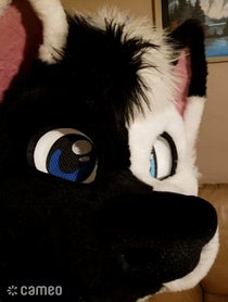 Poster for Intro video video from SOLIS THE WOLF