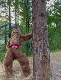 Poster for Intro video video from Bigfoot Bae