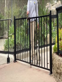 Poster for Birthday video from Monty from Santa Barbara Zoo