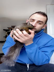 Poster for Intro video video from Peanut the Squirrel