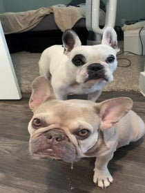 Poster for Birthday video from Walter Geoffrey