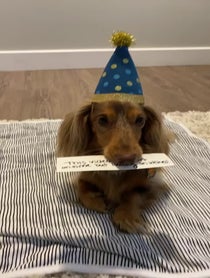 Poster for Birthday video from Roswell