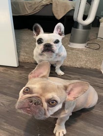 Poster for Birthday video from Walter Geoffrey