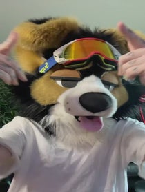 Poster for Other video from NORFDOG